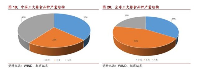  水灾、人民币贬值、海外粮价上涨背景下的米通胀