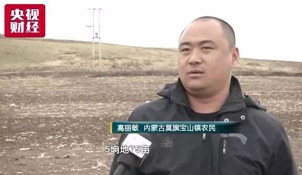 央视财经调研：大豆补贴困局-