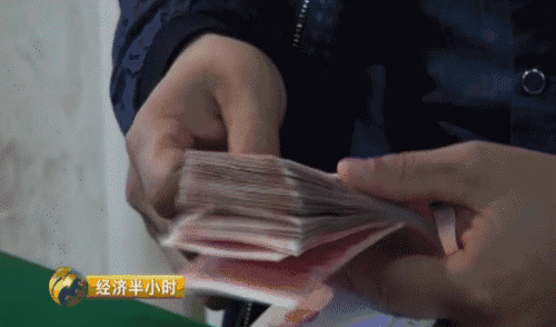 东北开种“天价玉米” 卖价是普通玉米20倍-