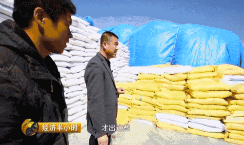 东北开种“天价玉米” 卖价是普通玉米20倍-